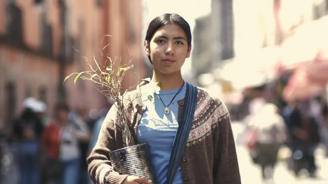 Judith with her apple tree in a tin pot, on a crowded street