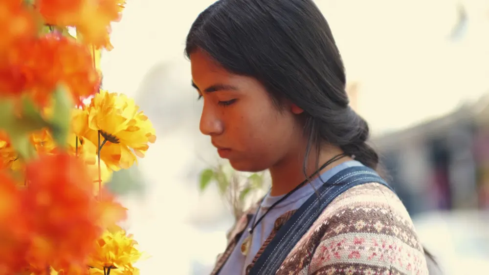 Judith in profile in front of marigolds