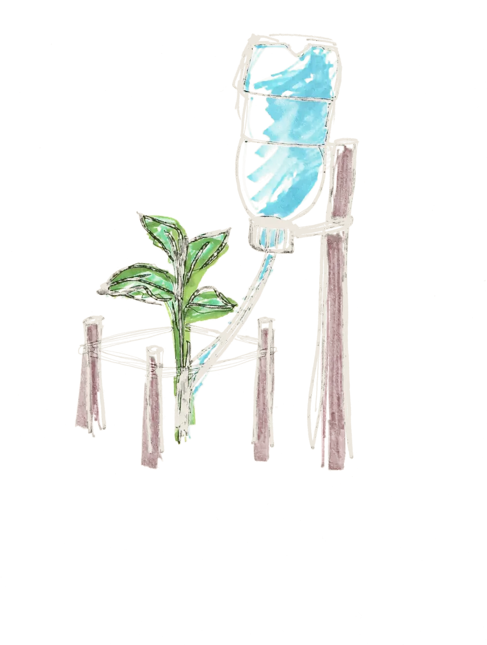 Color hand drawing: drip irrigation made from a water jug